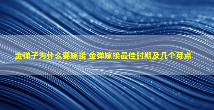 金弹子为什么要嫁接 金弹嫁接最佳时期及几个芽点